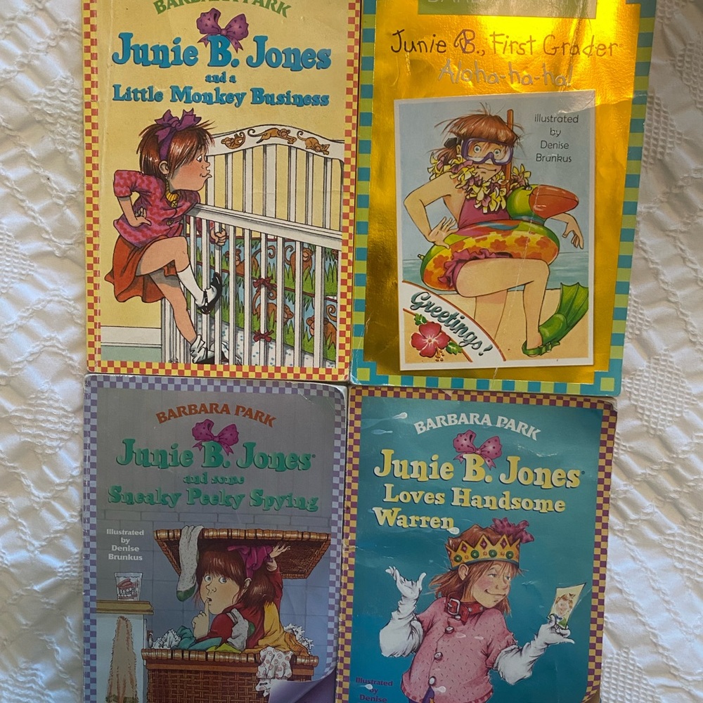 Junie b jones book bundle
